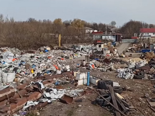 Валяются трупы, рядом бродят свиньи: видео с огромной свалки под Киевом шокировало пользователей сети