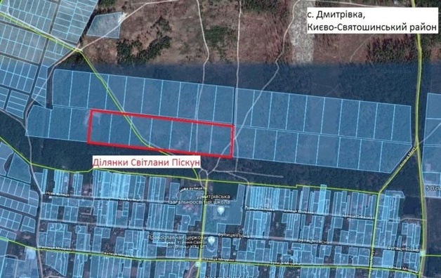 Прокуратура не смогла отобрать земли у бывшей жены Пискуна