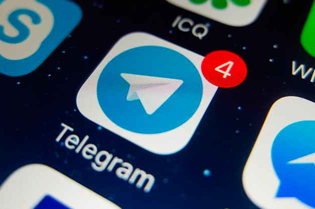 Кашин и Плющев обратились в ЕСПЧ по поводу блокировки Telegram