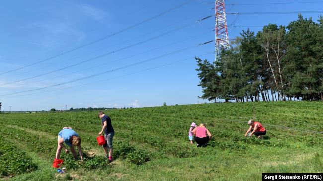 «Самозбір» ніхто з працівників господарства не контролює