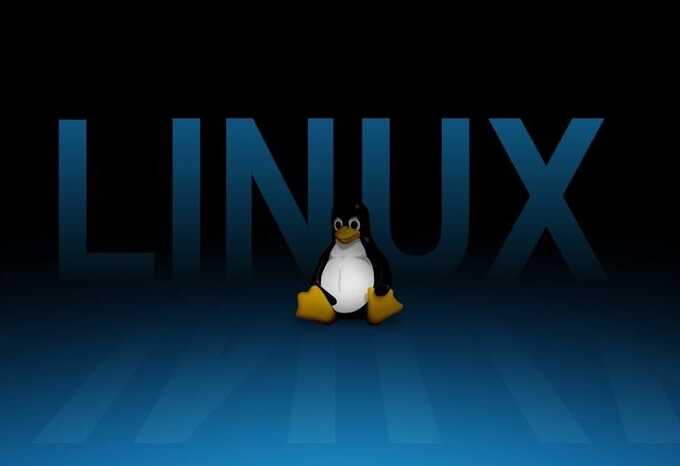 Linux – наше всё. Иностранная начинка «картонного» патриотизма